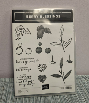 Stampin Up Berry Blessings - used - complete