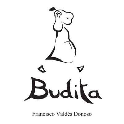 Budita by Francisco Vald?s Donoso (Spanish) Paperback Book