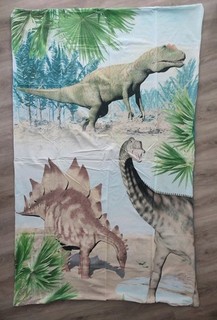 Kinder Bettwäsche Dinosaurier 135 x 200 2tlg. Baumwolle