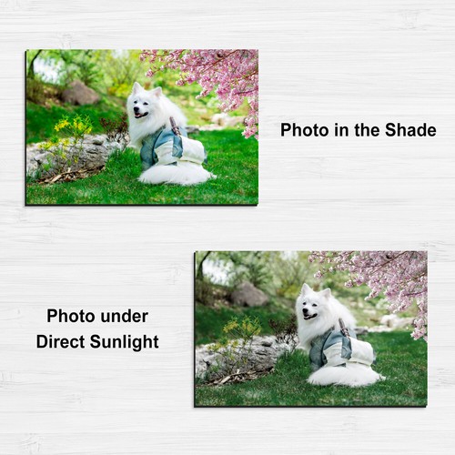 Printable Magnet Paper 50 Sheet Magnetic Photo Paper 8.5x11 Matte Inkjet Laser - Picture 13 of 14