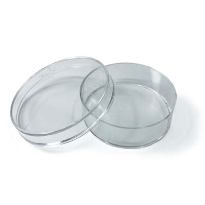 THERMO 153066 NUNC CELL CULTURE/PETRI DISHES, 35MM X 10MM, NUNCLON