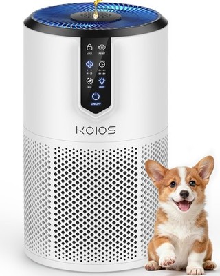Air Purifiers for Home Large Room Up to 1300 ft², KOIOS H13 True Large, White 