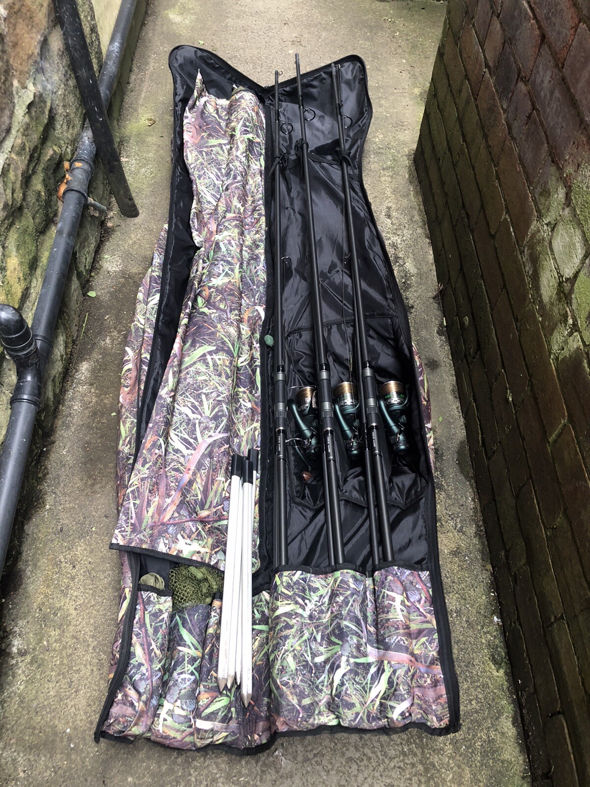 carp fishing rods eBay