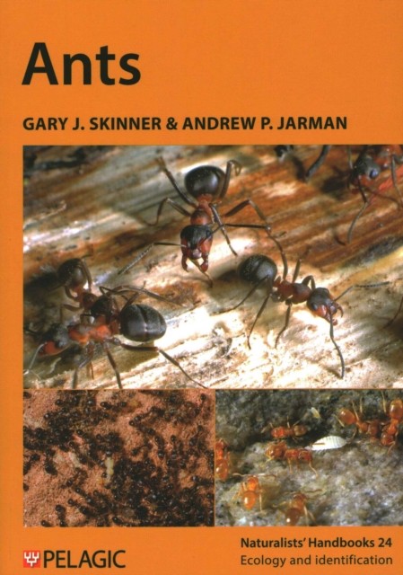 Ants (Naturalists Handbooks 24) by Gary J Skinner (Paperback) Free P+P - Image 4