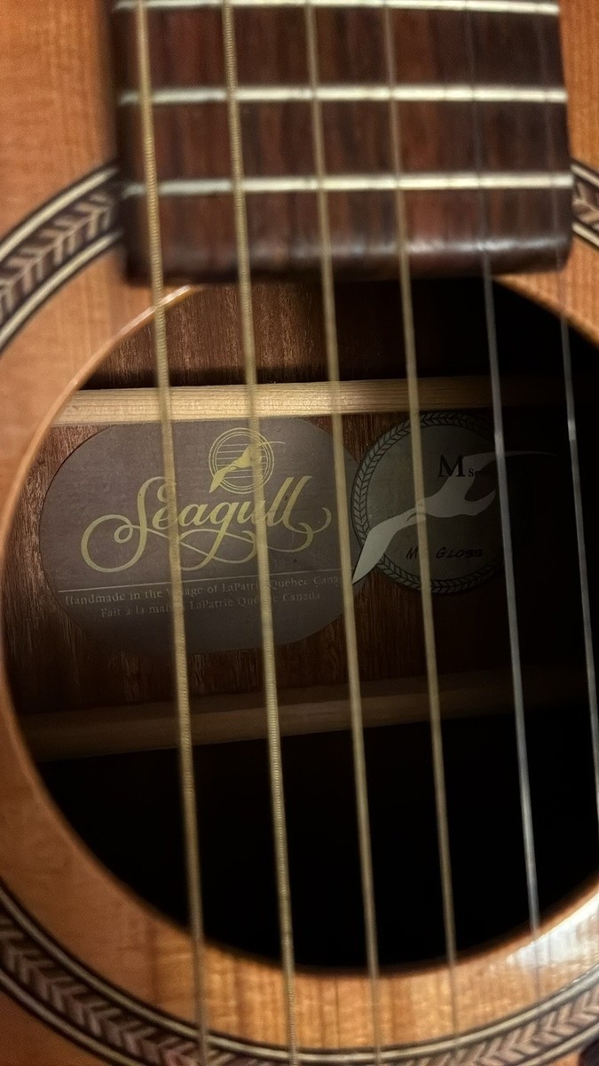 Seagull M6 Cedar Original Acoustic Guitar (Glossy) | eBay