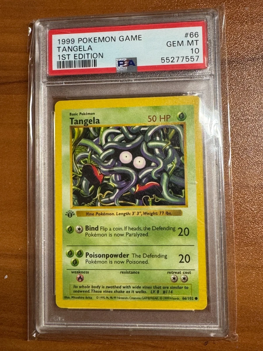first edition pokemon cards ebay Vintage Pokemon Cards HUGE Collection 1st Edition Shadowless ALL WOTC 1999