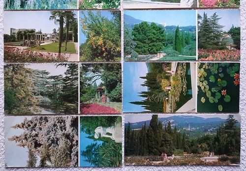 Nikita Giardino Botanico Crimea 1981 Vintage Set 14 cartoline URSS Russia Sovietica - Foto 8 di 11