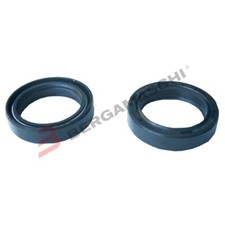 KIT PARAOLI PER FORCELLE 2 PEZZI 31X43X10 TOURMAX HONDA SH 50/100 SCOOPY 96>00