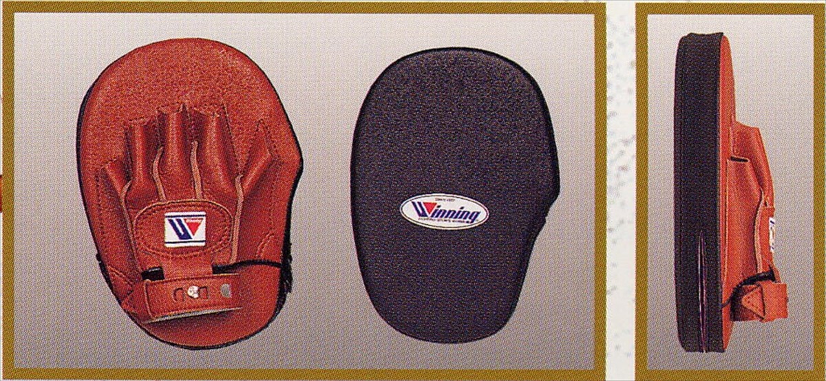 Winning CM-20 Standard Type Punching Mitt left and right from