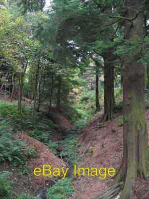 Photo 6x4 Steep sided burn, Bush Estate Easter Howgate A small burn ...