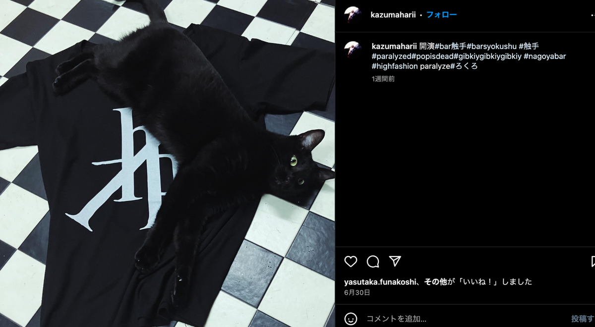 Merry Go Round CD + highfashionparalyze Tee gibkiy LOA-ROAR 恐