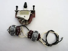 FERNANDES Fernandes DM-30 type switch & electrical equipment for active 1V1T