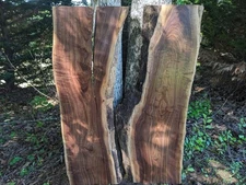 Black Walnut Slabs (Live Edge) River Table Set , epoxy set, Great Colors. Curves