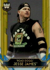 2020 Topps Chrome WWE 