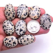 8 Pcs Natural Dalmatian Jasper Untreated 25mm-31mm Oval Cabochon Gemstones Lot