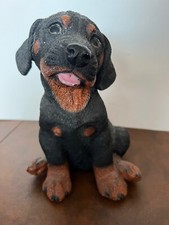 Castagna Linea Infrangibile Rottweiler Rotty Cucciolo Cane Made in Italy 