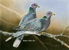 Limited Edition Band Tailed Pigeon Print Giclee By Wildlife Artist Roby Baer PSA