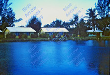 1966 35mm Slide Lakeside Cottages Fort Myers Florida #12332