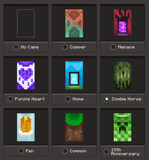 Minecraft Rare 8 Cape Account + Zombie Horse Cape (Message for any Questions)