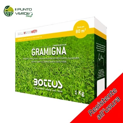 Bottos GRAMIGNA 1 Kg seme prato ornamentale varietà CYNODON DACTYLON