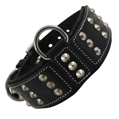 Leather Studded Dog Collar for Large Dog | Brazier Rivet | 2 Inch Wide Dog Co...