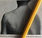 Bild 11 von 11