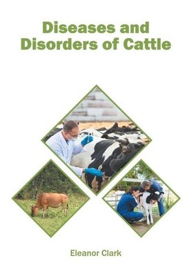 Diseases and Disorders of Cattle (Hardback)