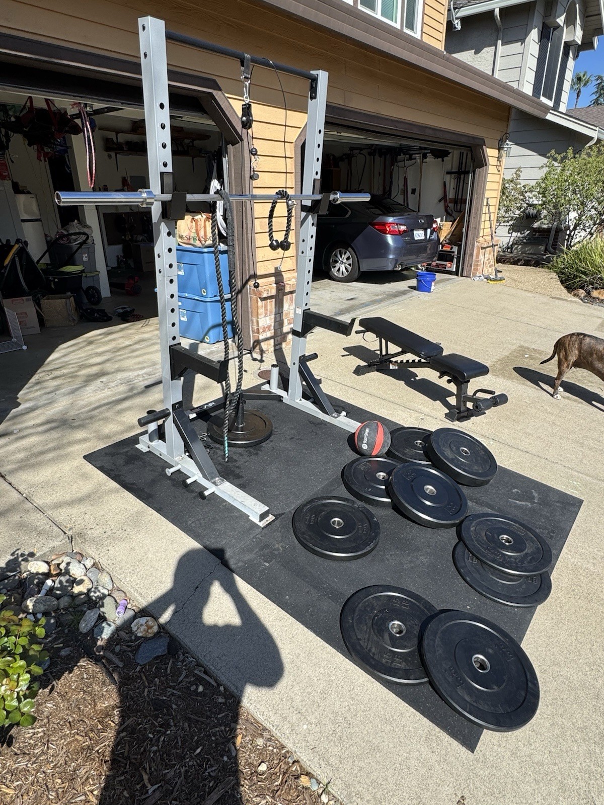 Complete Home Gym &ndash; Squat Rack, Barbell, Bench & Bumper Plates