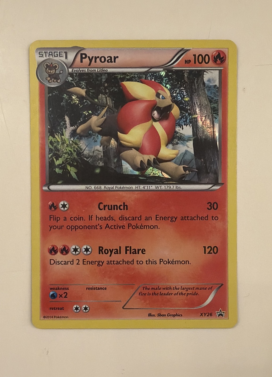 Pyroar XY26 XY Holo