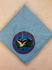 Vintage Boy Scouts Hidden Valley Scout  Daniel Webster Council Neckerchief