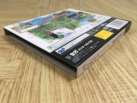 Mahou Kishi Rayearth SEGA SATURN Japan - FJ8714