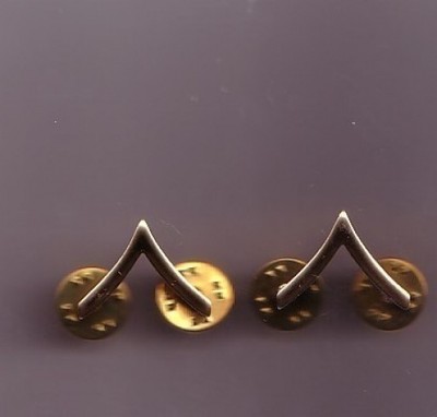 Genuine US Made Pair of Metal Brass Private Rank Insignia badges  USA MADE
