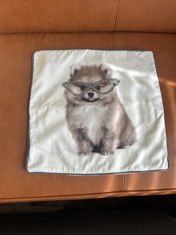Pottery Barn Teen Pomeranean Pillow Case