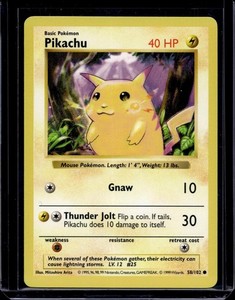 Poketour Pikachu | eBay