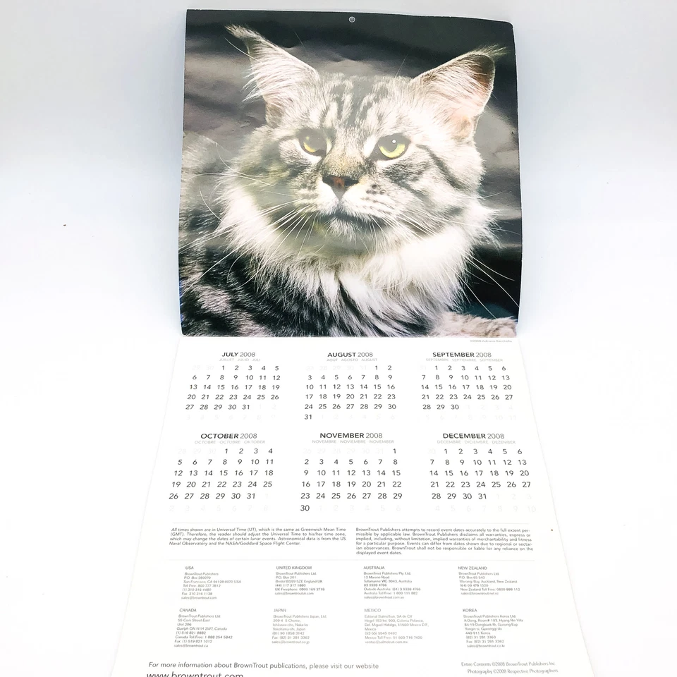 Maine Coon Cats Calendar 2009 Feline Animals Pets Rolf Kopfle Adriano Bacchella - Image 3 of 4