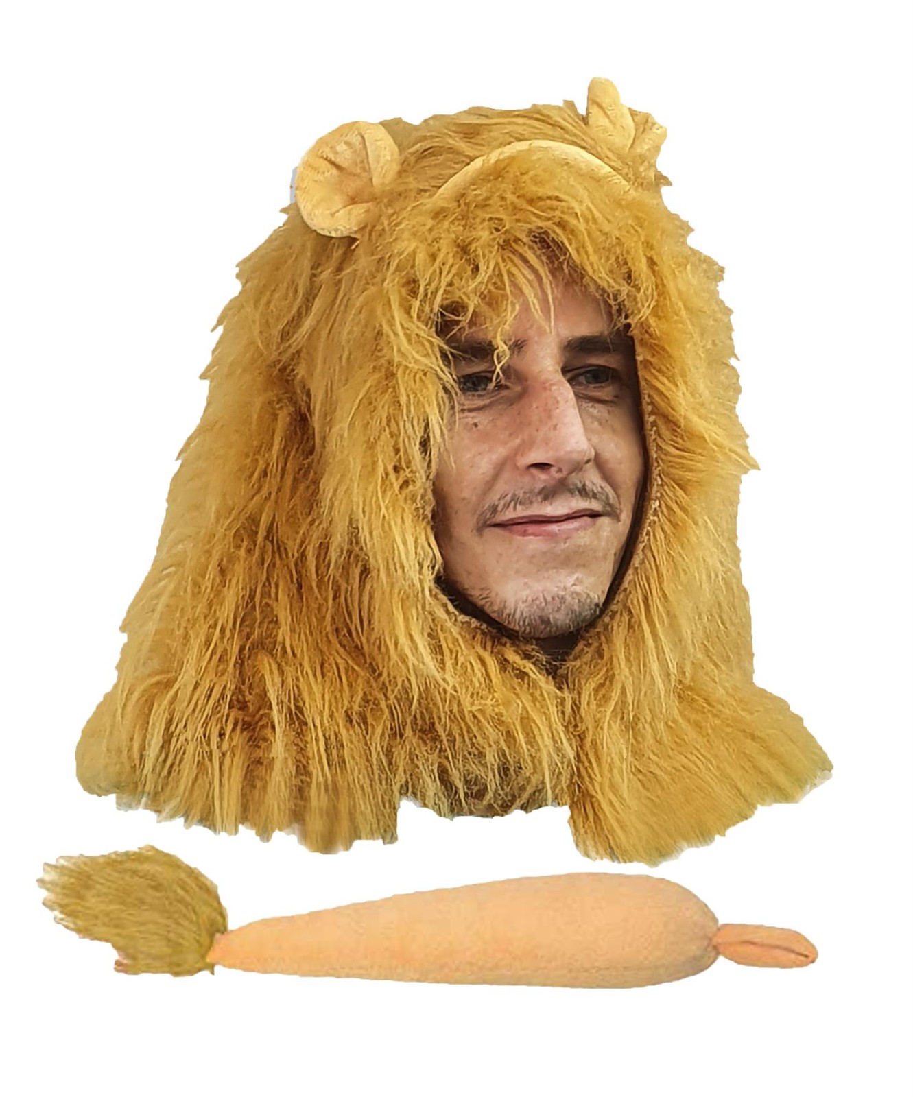 Adults Cowardly Lion Big Cats Mane Ears & Tail World Book Day Fancy Dress