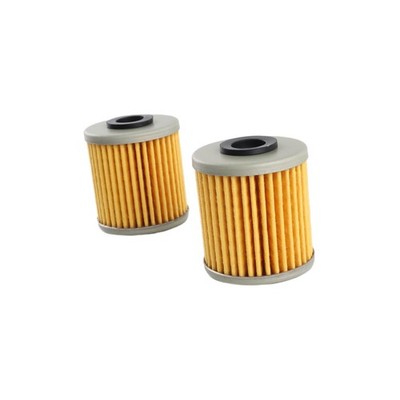 16510-16H11 Oil Filter (2pcs) Replacement for Suzuki Outboard 4HP 6HP 2017-2024
