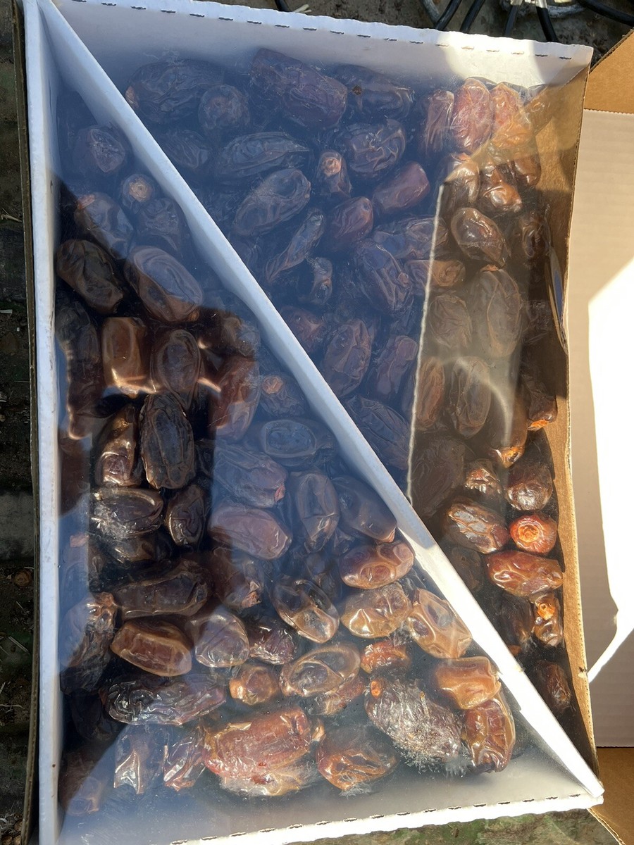 2x 11LB (22 LB Total) Medjool Dates – M/S Size – Fresh From California – Fast Shipping-435967