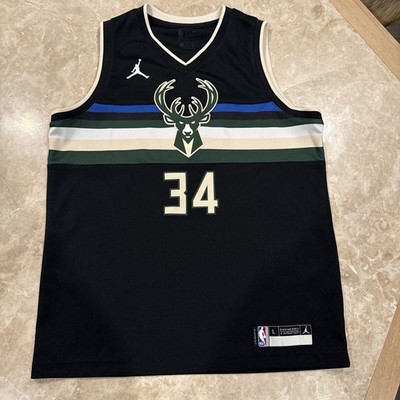 Nike Giannis Antetokounmpo #34 Milwaukee Bucks Youth Swingman NBA