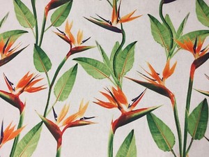 Détails Sur Oiseau De Paradis Gingembre Plante Grue Tissu Fleur Orange Rideau 140cm Large