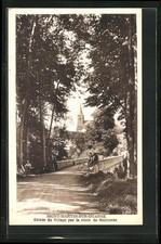Old postcard Saint-Martin-sur-Ouanne, entrance to the village by the road to Malicorne