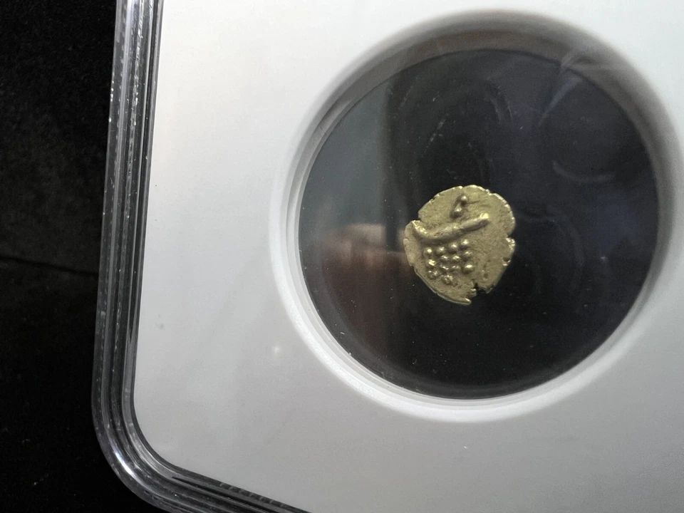 India Gold Fanam (1795 - 1850) - Cochin Gold - NGC Genuino Foto 4 de 4