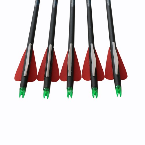 12Pcs 31" Carbon Arrows Archery for Outdoor Bow Hunting Screw-in Point Target - Picture 18 of 41