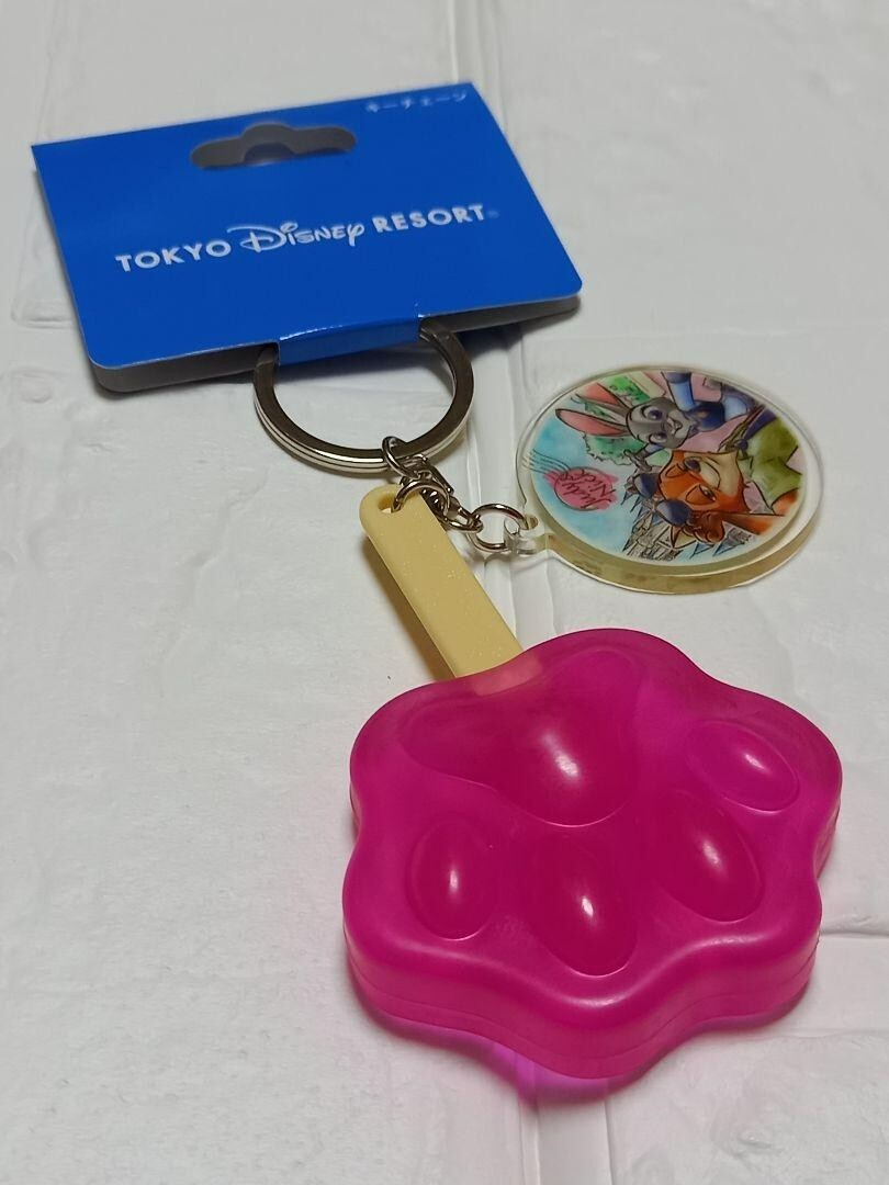 Japan Tokyo Disney Resort Zootopia Nick & Judy Paw Popsicle Ice