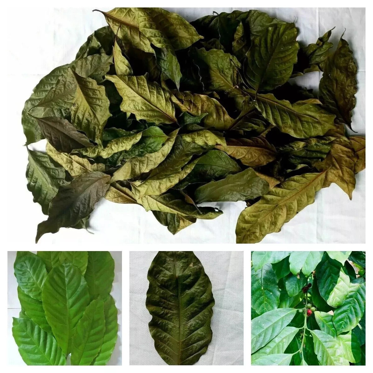 harmful things in tobacco Common substances in tobacco and their effects On health
