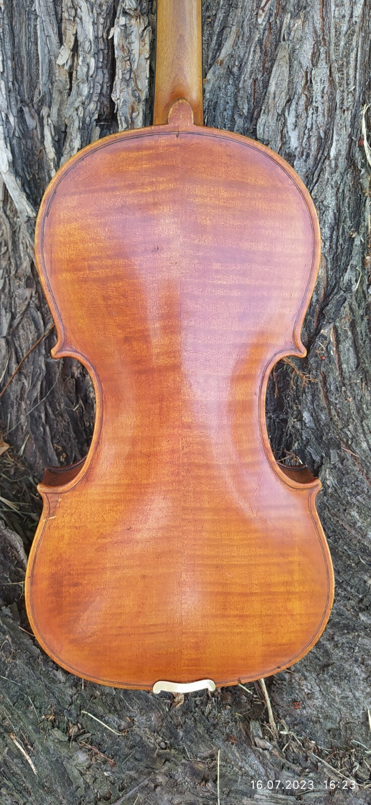 Violin 4/4, artisan, Germany, late 19th century eBay