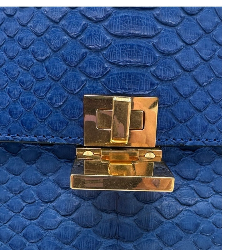 Celine Python Bag - image 6
