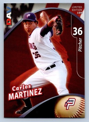 Carlos Martinez 2009 DAV Disabled American Veterans Potomac Nationals SGA
