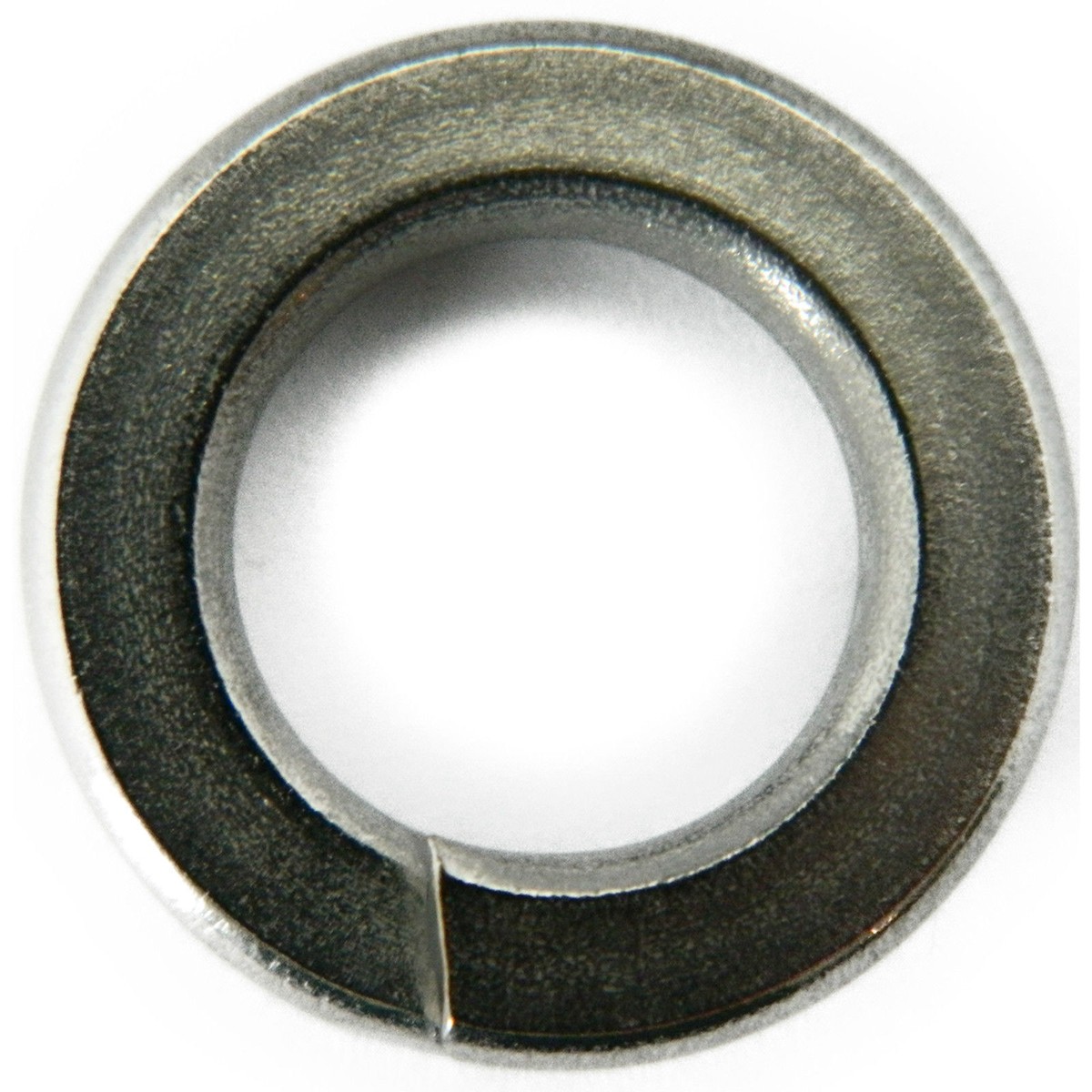 Split Lock Washer - Metric - DIN 127B - A4 M6 - 316 Stainless Steel
