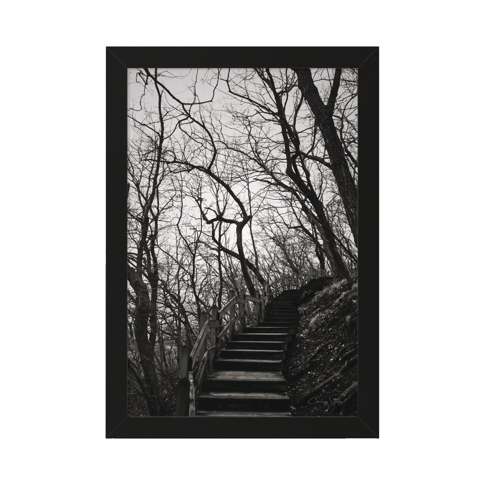 Reproduction Signed Home Décor Posters